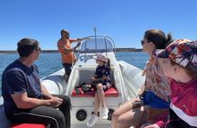 Picpoul de Pinet by minibus with boat tour and oysters tasting