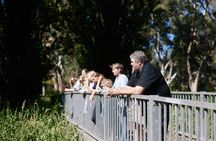 Warriparinga cultural and historical tour