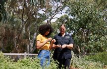 Warriparinga cultural and historical tour