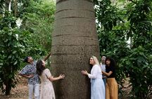 Adelaide Botanic Garden guided tour