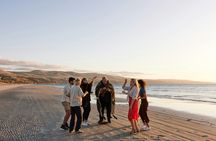 Southern cultural bus tour