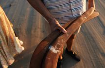 Boomerang throwing workshop
