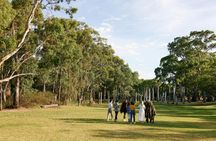 Boomerang throwing workshop