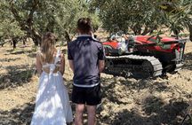 Tasting of EVO oil in the province of Agrigento