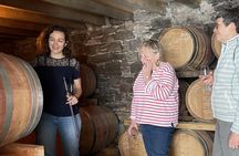 Pic Saint Loup half-day minibus tour with wine tasting