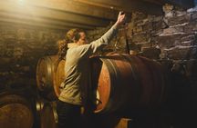 Pic Saint Loup half-day minibus tour with wine tasting