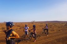 Pointe Sarene 3-hour bike tour