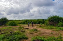 Pointe Sarene 3-hour bike tour