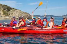 Lunchtime kayak guided tour from Bandol to Calanque