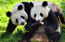 2-day Beijing  private guided tour