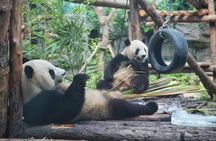 2-day Beijing  private guided tour