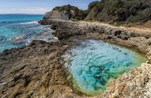 Full-day boat tour to southern Corsica from Cannigione with aperitif
