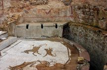 Skip-the-line guided tour of Villa Romana del Casale