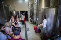 VIP small-group Tuscany Grand Tour: the best of Siena, San Gimignano, Chianti, Pisa