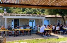 Visit to a Myrtle Production Lab with Tasting in Olbia Countryside