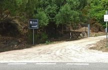 Visit to a Myrtle Production Lab with Tasting in Olbia Countryside