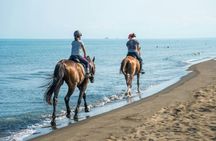 Horseback riding in Giardini Naxos