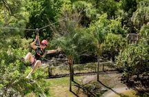 Gator Zipline and Gatorland