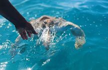 Boat Tour and Snorkeling with turtles in Cape Verde from Mindelo