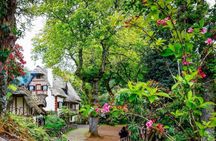Full-day guided hike along the Levada do Caldeirão Verde