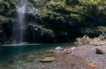 Full-day guided hike along the Levada do Caldeirão Verde