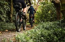E-Bike Hire and Shuttle in Kaitoke