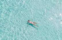 Grand Bahama tour with optional Pig Beach visit