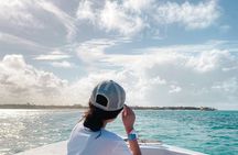 Grand Bahama tour with optional Pig Beach visit