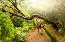 Half-day guided levada walk to Vale Paraíso and Rochão