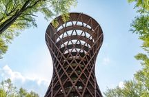 Full-day tour to Forest Tower and Forgotten Giants from Copenhagen
