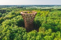 Full-day tour to Forest Tower and Forgotten Giants from Copenhagen