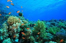 Blue snorkeling cruise with breakfast and lunch from Hurghada