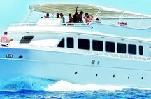 Blue snorkeling cruise with breakfast and lunch from Hurghada