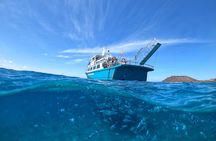 Lobos island ferry and snorkeling experience from Corralejo