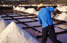 Guided tour to the Salinas de Janubio