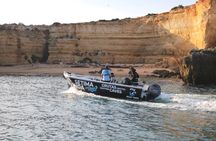 1-hour small group boat tour to caves and beaches from Armação de Pêra