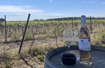 Sable de Camargue half-day minibus tour with lunch and tastings