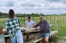 Sable de Camargue half-day minibus tour with lunch and tastings