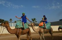 Sunset Camel Ride in Agadir With Transport, Tea, and Local Cakes
