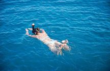 Catamaran cruise with swimming stops in the Serra Gelada from Altea