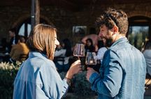 Private wine tasting tour from Florence to Chianti Hills