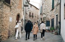 Private wine tasting tour from Florence to Chianti Hills