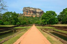 Sigiriya rock and Dambulla cave temple tour from Negombo