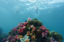 Guided tour of the Koh Lipe Frontier in the Eastern Adang Archipelago