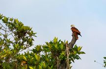 Madu River boat cruise and Galle city tour from Bentota region