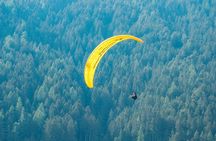 Stubai panorama paragliding flight