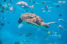 Similan Islands full-day excursion from Phuket