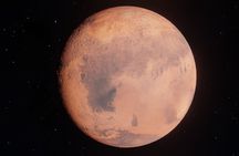 Stargazing with a quad bike, camel ride, dinner and show in Sharm El Sheikh