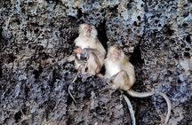 Day trip to Phi Phi with private longtail tour from Khao Lak