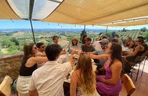 Chianti wine tour from San Gimignano